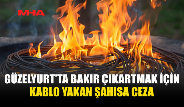 ESKİ KABLOLARI YAKAN ŞAHISA CEZA KESİLDİ