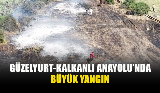 GÜZELYURT'TA ÇIKAN YANGINDA 30 DÖNÜMLÜK ALAN KÜL OLDU