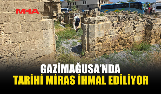 TARİHİ YAPILAR YABANİ OTLAR ARASINDA KALDI