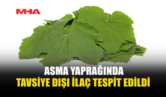 TARIM DAİRESİ GIDA DENETİM RAPORUNU AÇIKLADI