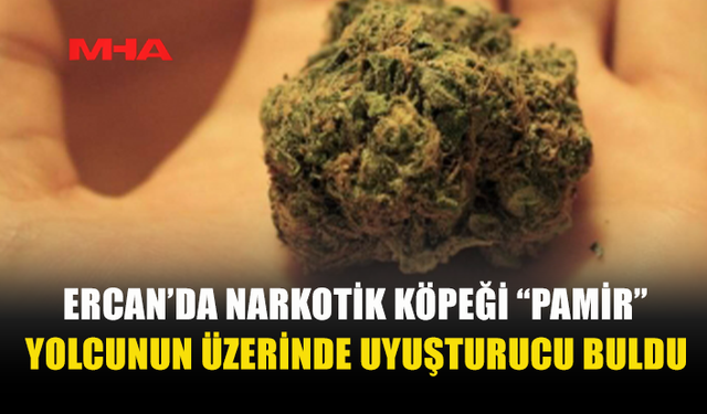 ERCAN’DA YOLCUNUN ÜZERİNDEN ESRAR ÇIKTI