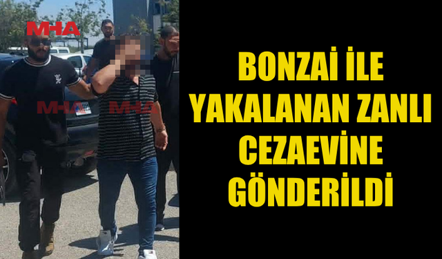 BONZAİ ZANLISI HAPSE GÖNDERİLDİ