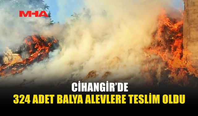 CİHANGİR’DE BALYA YANGINI: 324 BALYA KÜL OLDU