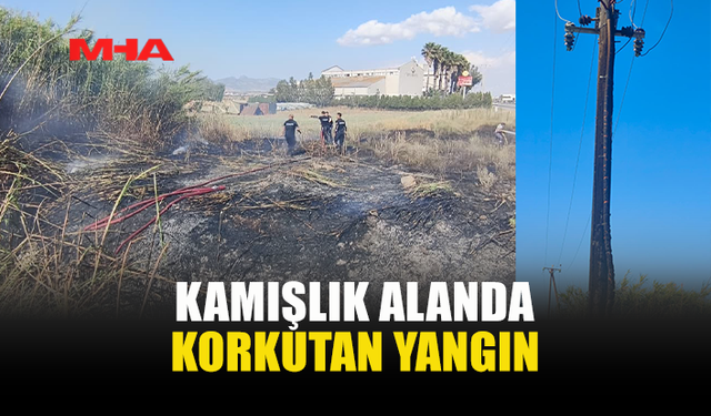 EVSU İLE HACI ALİ FABRİKASI ARASINDA KAMIŞLIK ALANDA YANGIN
