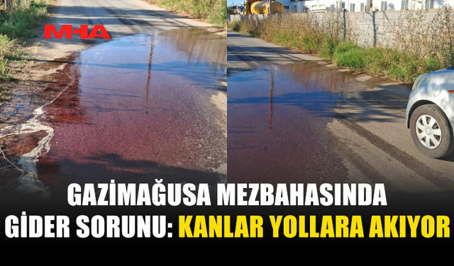 GİDERLER TIKANDI, SOKAKLAR KANA BULANDI