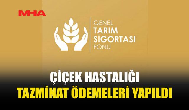 KÜÇÜKBAŞ HAYVAN KAYIPLARI İÇİN TAZMİNAT ÖDENDİ