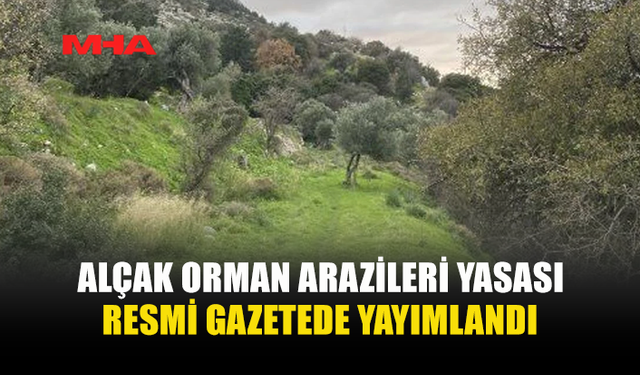 ALÇAK ORMAN ARAZİLERİNİN DEVRİ VE İCARI (DEĞİŞİKLİK) YASASI YÜRÜRLÜĞE GİRDİ