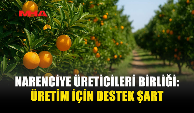 NARENCİYE ÜRETİCİLERİNDEN ÖDEME ÇAĞRISI