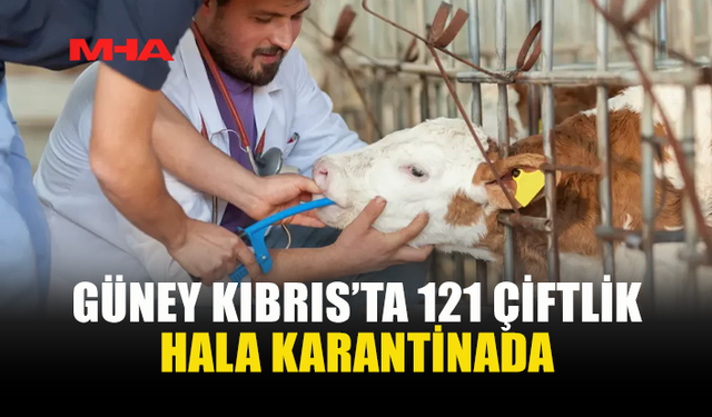 GÜNEY KIBRIS’TA 121 ÇİFTLİKTE KARANTİNA SÜRÜYOR