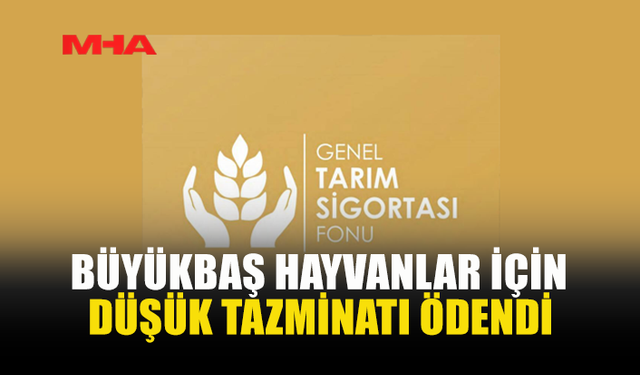 71 BÜYÜKBAŞ HAYVAN İÇİN TAZMİNAT ÖDENDİ