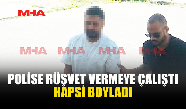 POLİSE 100 DOLAR RÜŞVET TEKLİF ETTİ
