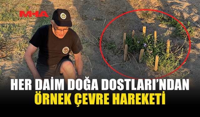 HER DAİM DOĞA DOSTLARI'NDAN DENİZ ŞEBBOYU İÇİN KORUMA ÇABASI