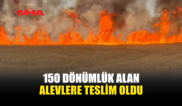 TARIM ARAZİSİNDE BÜYÜK YANGIN...