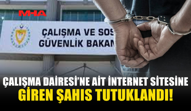 DEVLETİN WEB SİTESİNE GİREN ŞAHIS YAKALANDI