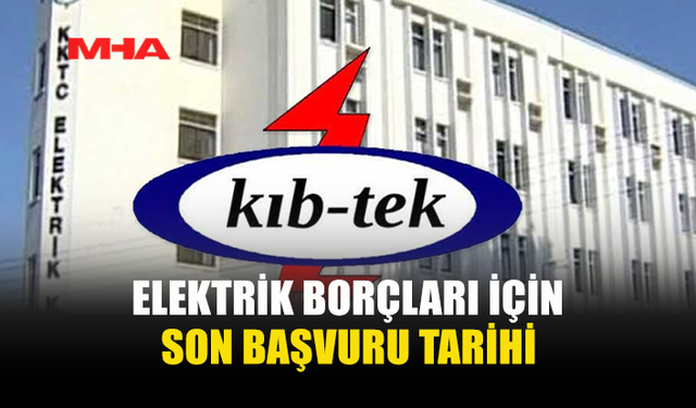 ELEKTRİK BORÇ YAPILANDIRMASINDA SON GÜN