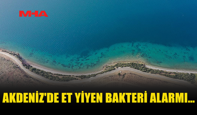 “ET YİYEN BAKTERİ” SAHİLLERDE ALARM YARATTI