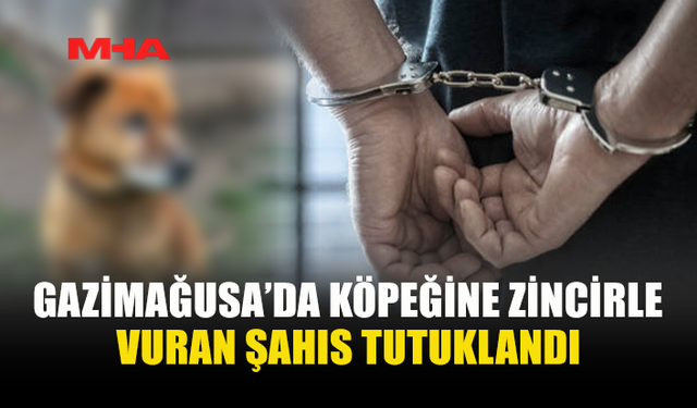 KÖPEĞİNE İŞKENCE ETTİĞİ İDDİASIYLA TUTUKLANDI