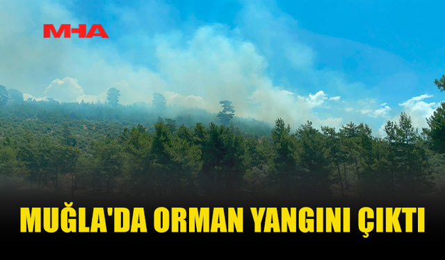 MUĞLA'DA ORMAN  SEYDİKEMER İLÇESİNDE YANGINI ÇIKTI