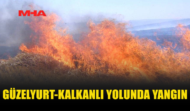 GÜZELYURT-KALKANLI YOLUNDA YANGIN: 12 DÖNÜM ALAN ZARAR GÖRDÜ