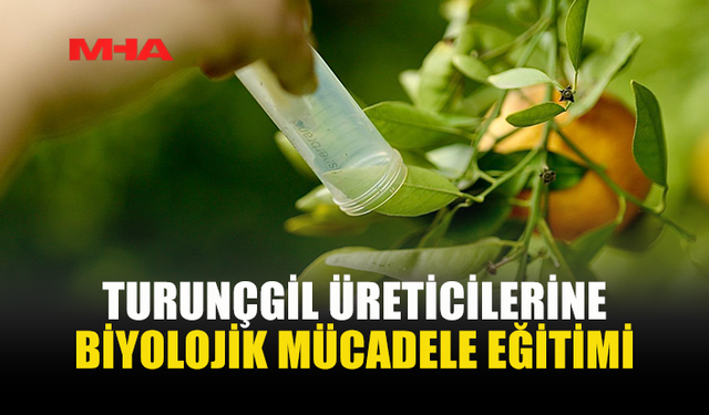 TURUNÇGİL HASTALIKLARINA KARŞI FARKINDALIK EĞİTİMİ DÜZENLENİYOR