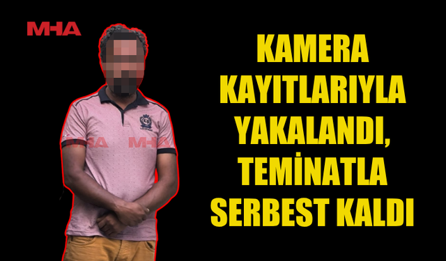 2 BİN BALANIN YANDIĞI YANGINDA ZANLI TEMİNATLA SERBEST KALDI