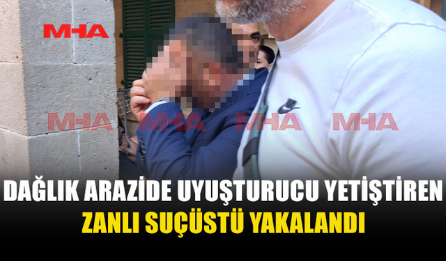 4 KÖK HİNTKENEVİRİ YETİŞTİREN ZANLI YAKALANDI