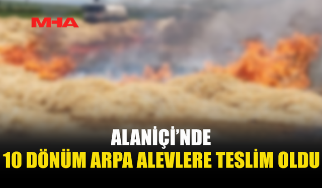ALANİÇİ’NDE  BİÇİLMEMİŞ ARPA VE ANIZ YANDI