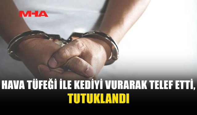 KOZANKÖY'DE KEDİYE ATEŞ EDEN ŞAHIS GÖZALTINA ALINDI