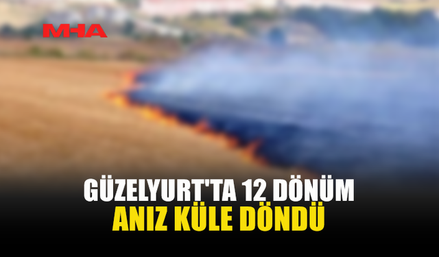 GÜZELYURT'TA TARIM ARAZİSİNDE KORKUTAN YANGIN