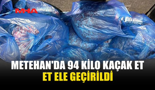 GÜMRÜĞE TAKILDI! 94 KİLOLUK KAÇAK ET İMHA EDİLDİ