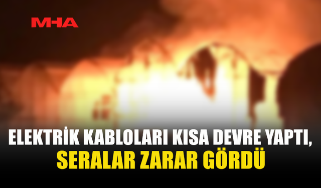 GAZİMAĞUSA'DA SERALAR BÖLGESİ'NDE YANGIN