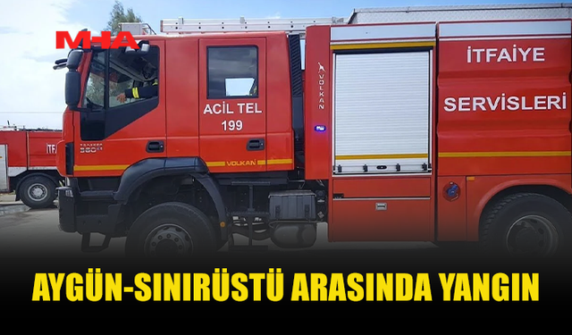 AYGÜN-SINIRÜSTÜ ARASINDA YANGIN MEYDANA GELDİ