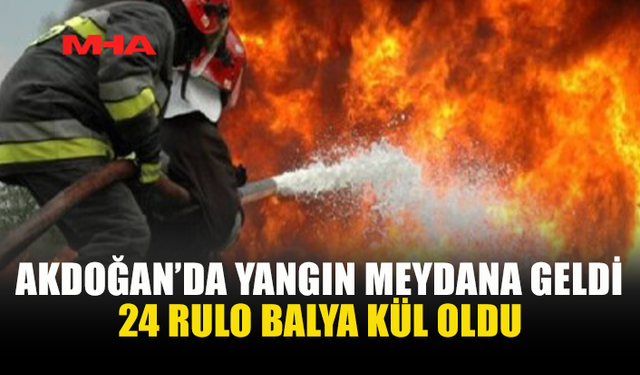 AKDOĞAN’DA YANGIN: 24 RULO BALYA KÜL OLDU
