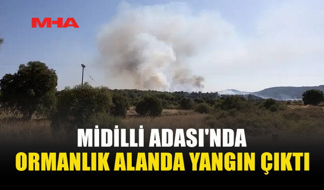 YUNANİSTAN’DA BİR ADA DAHA ALEVLERE TESLİM OLDU