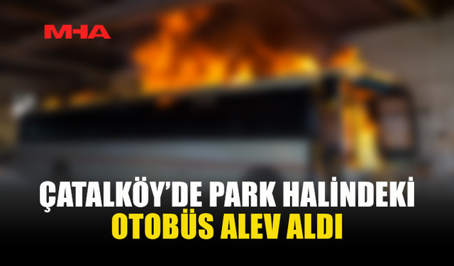 ÇATALKÖY'DE PARK HALİNDEKİ OTOBÜS YANDI