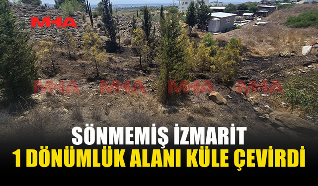 KUZEY ÇEVRE YOLU’NDA SİGARA İZMARİTİ ŞÜPHESİ: 1 DÖNÜMLÜK ALAN KÜLE DÖNDÜ
