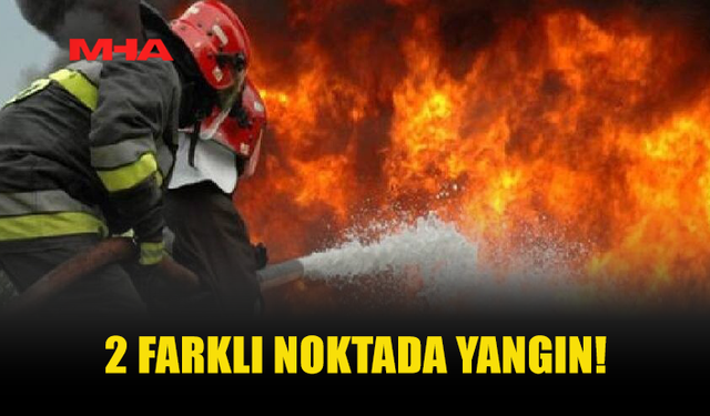 İKİ AYRI NOKTADA ÇIKAN YANGINLARDA AĞAÇLAR ZARAR GÖRDÜ