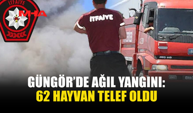 GÜNGÖR’DE YANGIN: ÇOK SAYIDA HAYVAN TELEF OLDU