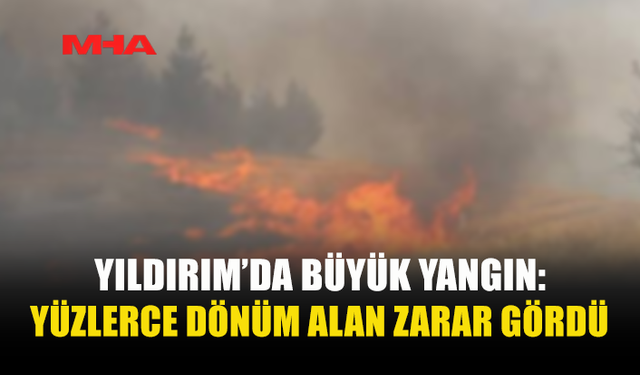 YILDIRIM'DA 150 DÖNÜM ALAN KÜLE DÖNDÜ