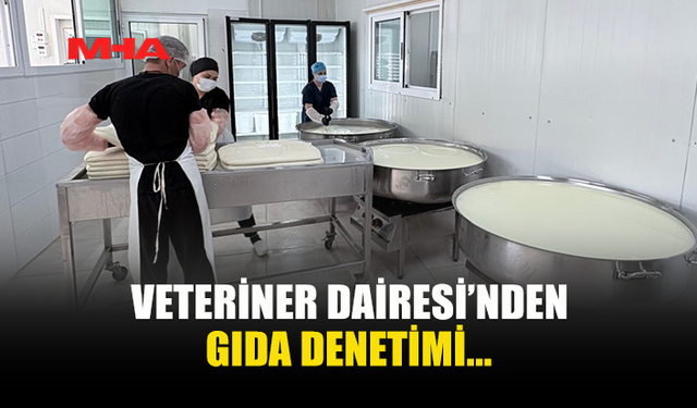 VETERİNER DAİRESİ GIDA DENETİMİ GERÇEKLEŞTİRDİ