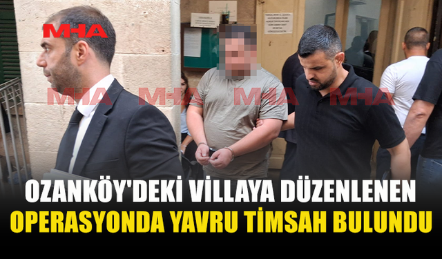 OZANKÖY'DEKİ VİLLADAN YAVRU TİMSAH VE MERMİ ÇIKTI