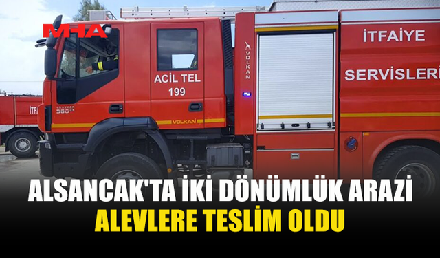 ALSANCAK'TA ELEKTRİK TELLERİ YANGIN ÇIKARDI