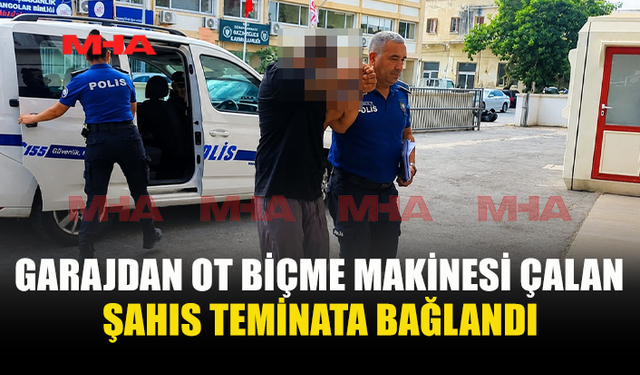 OT BİÇME MAKİNESİ HIRSIZLIĞI ZANLISI TEMİNATA BAĞLANDI