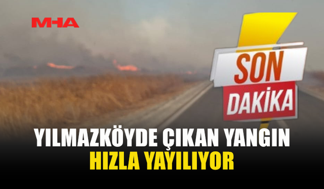 ALEVLER YILMAZKÖY'DE GENİŞ ALANA YAYILIYOR