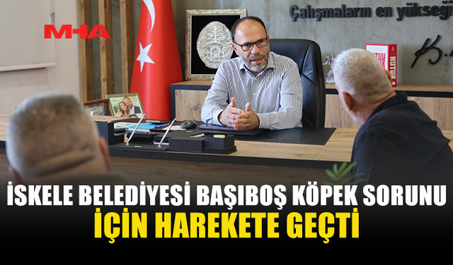 BAŞIBOŞ KÖPEK SORUNU İÇİN İSKELE BELEDİYESİ İLE HAYVAN ÜRETİCİLERİ VE YETİŞTİRİCİLERİ BİRLİĞİ'NDEN ORTAK HAREKET KARARI