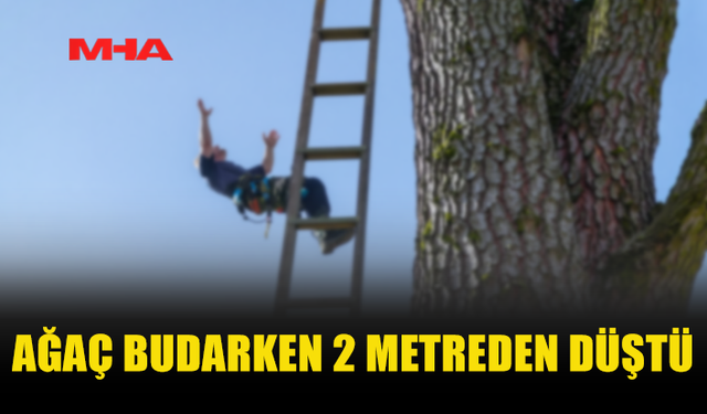 MERDİVENDEN DÜŞEN BAHÇIVAN HASTANELİK OLDU