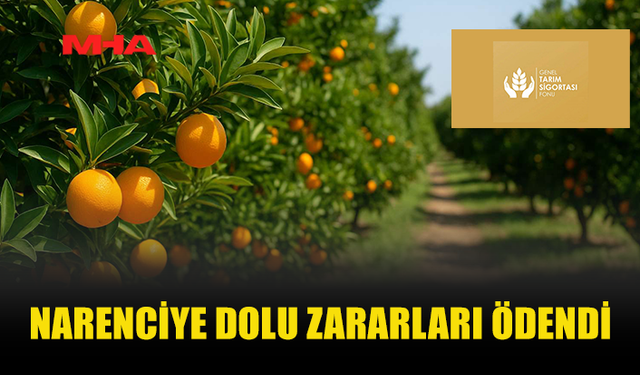 NARENCİYE ÜRETİCİSİNE HASAR TAZMİNATI ÖDENDİ