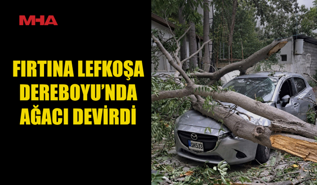 LEFKOŞA’DA FIRTINA AĞACI DEVRİLDİ, ARAÇ ZARAR GÖRDÜ
