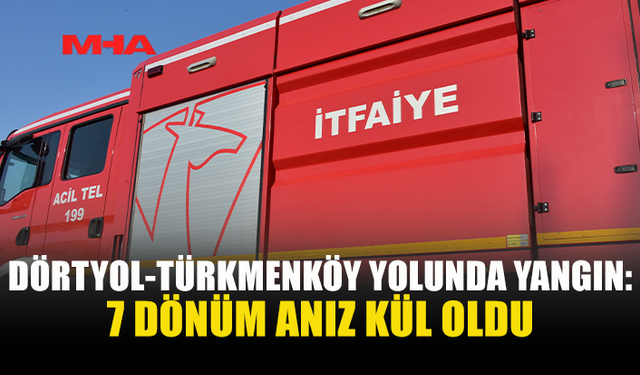 7 DÖNÜM ANIZ YANGINA TESLİM OLDU