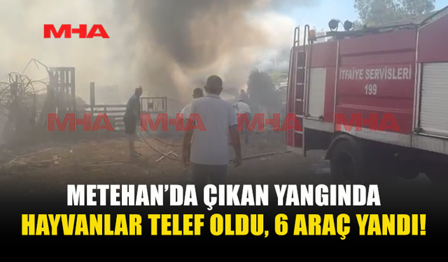 GARAJDA BAŞLAYAN YANGIN FELAKETE DÖNÜŞTÜ